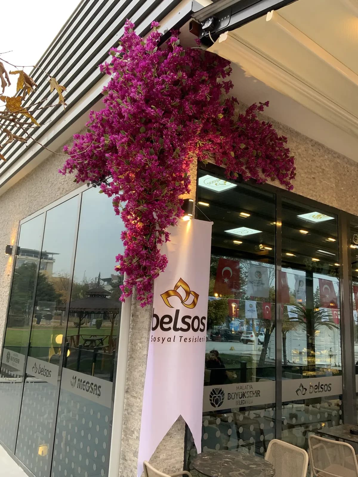 Pergola begonvil uygulaması
